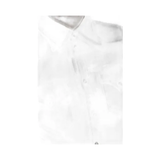 Collared Button-Up Cropped Shirt