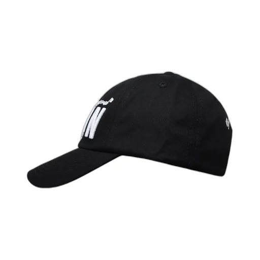 Icon Baseball Cap