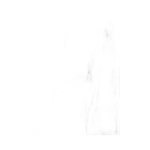 Double-Breasted Long-Sleeved Jacket