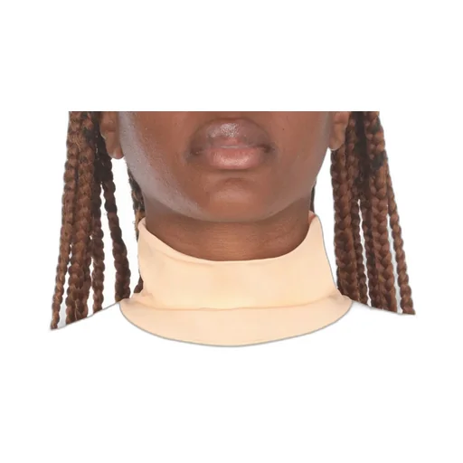 Sheer Turtleneck Long-Sleeved T-Shirt