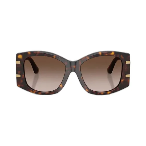 Butterfly Frame Sunglasses