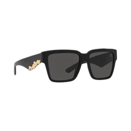 Square Frame Sunglasses