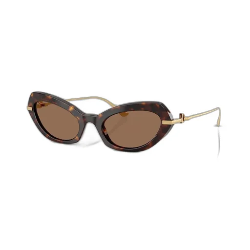 Cat-Eye Sunglasses
