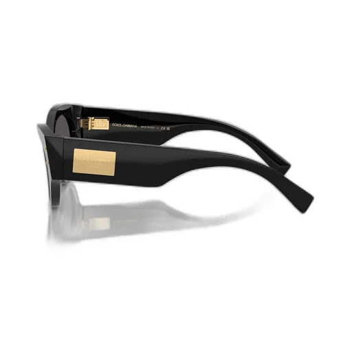 Butterfly Frame Sunglasses
