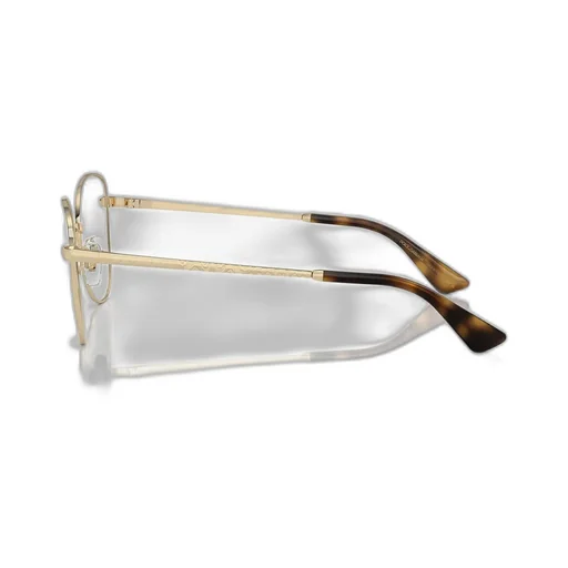 Butterfly Frame Glasses