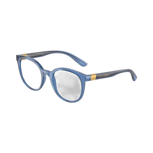 Round Frame Glasses