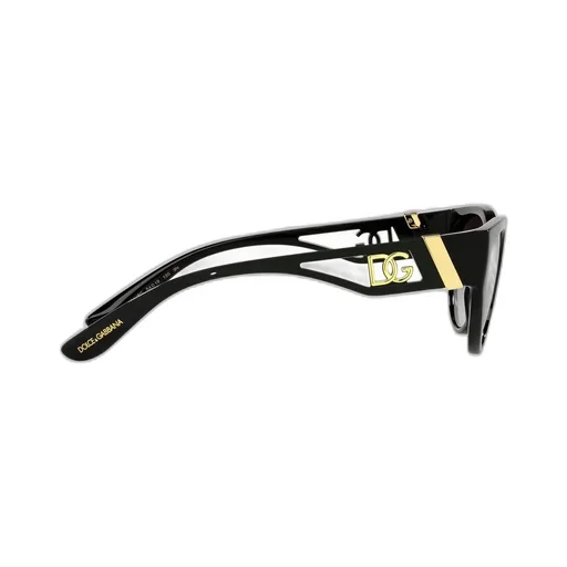 Cat-Eye Frame Sunglasses