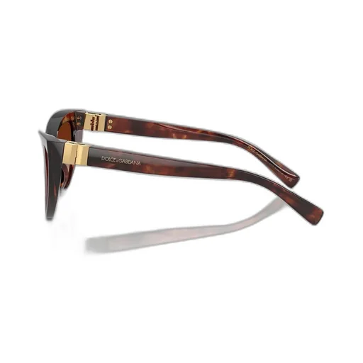 Cat-Eye Sunglasses