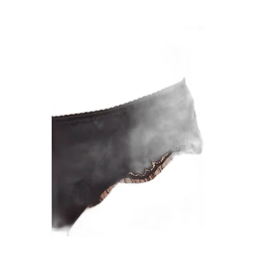 Lace Embellished Briefs