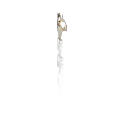 Logo Detailed Clip-On Earrings