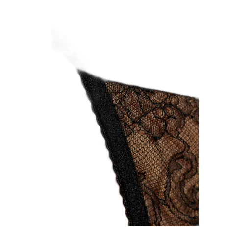 Lace Briefs