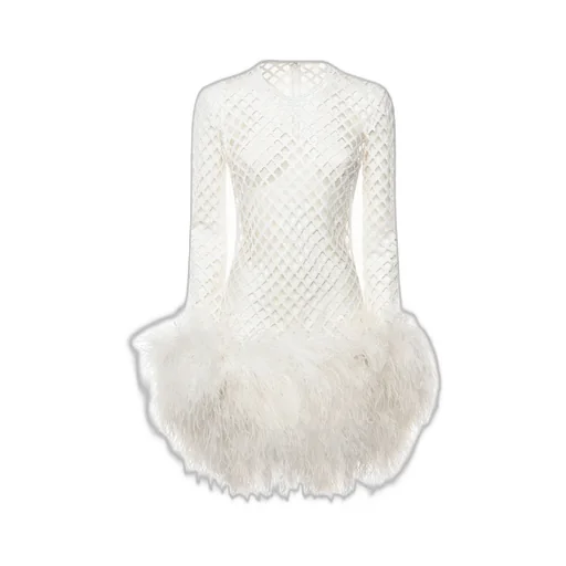 Sequin Embellished Mini Mesh Dress