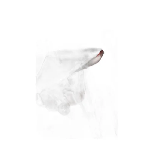 Flower-Printed Poplin Vanity Shirt