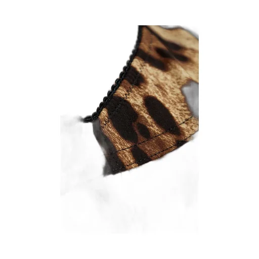 Leopard Printed Top