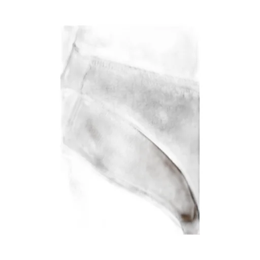 Silk Briefs