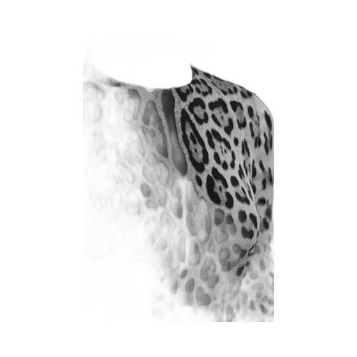 Animal Printed Midi Dress