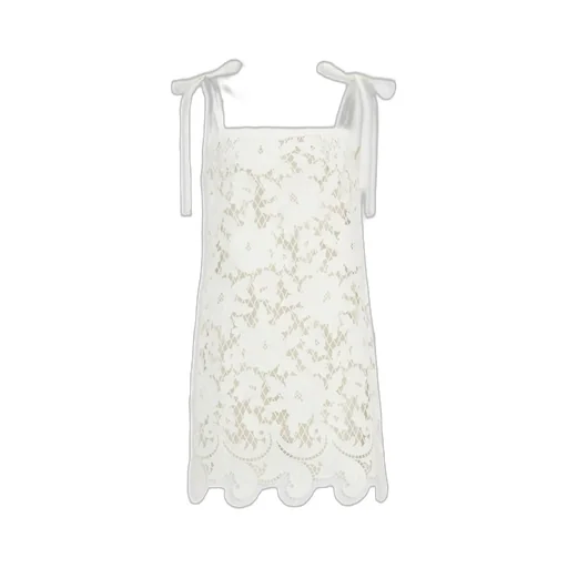 Floral Openwork Embroidered Mini Dress
