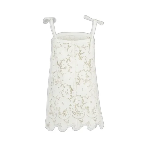 Floral Openwork Embroidered Mini Dress