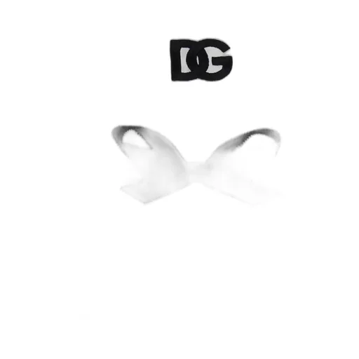 Dg Logo Embroidered T-Shirt