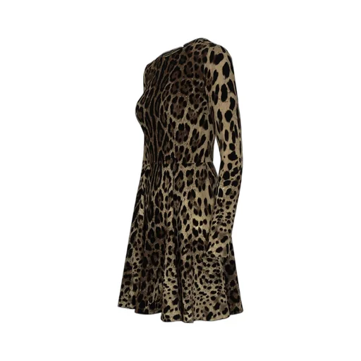 Leopard-Print Mini Dress