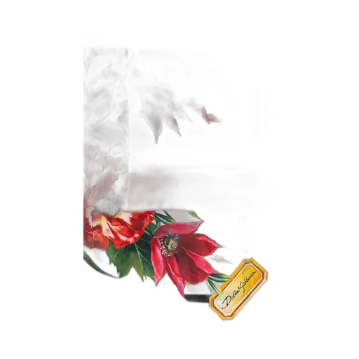 Floral Printed Finished Edge Scarf