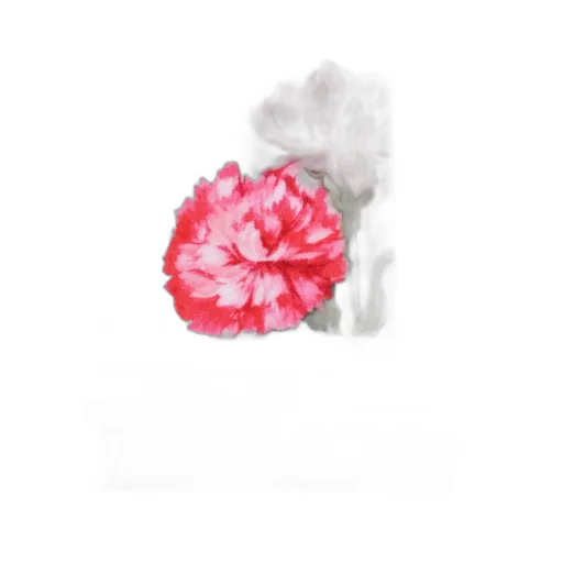 Allover Floral Printed Towel