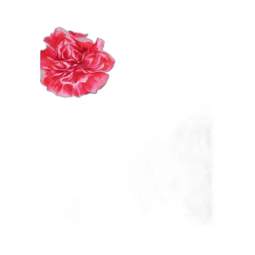 Allover Floral Printed Towel