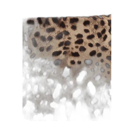 Leopard Printed Shorts