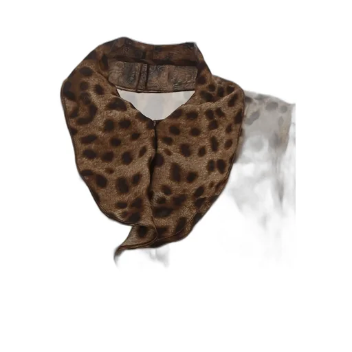 Leopard Print Long-Sleeved Blouse