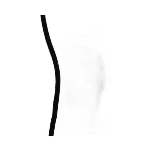 T-Aiko Cropped Top