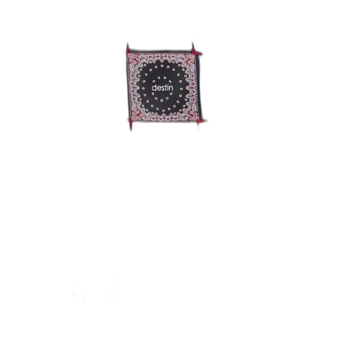Logo Patch Fringed Scarf