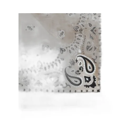 Paisley Wool Scarf
