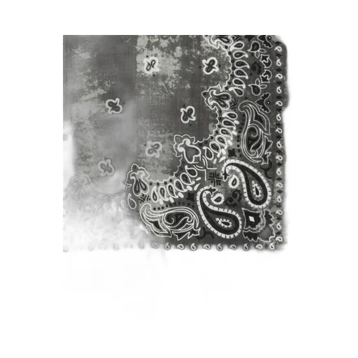 Paisley Fringed Scarf