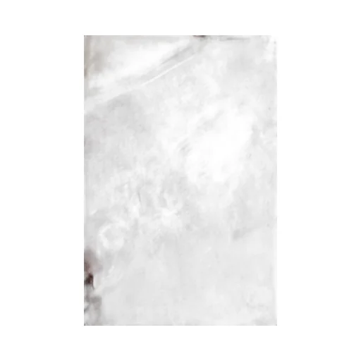 T-Grafi Cropped T-Shirt