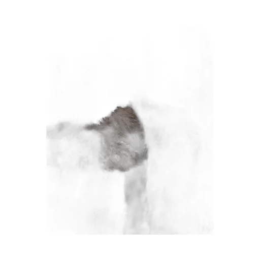 Hunter Faux Fur Jacket