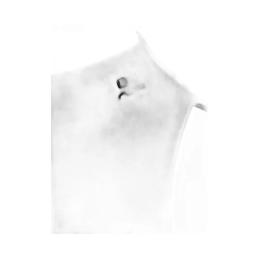Sleeveless Twill A-Line Dress