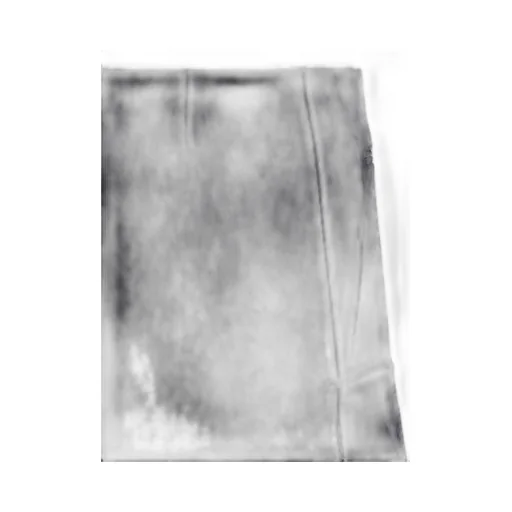 Reversed Belt Mini Skirt