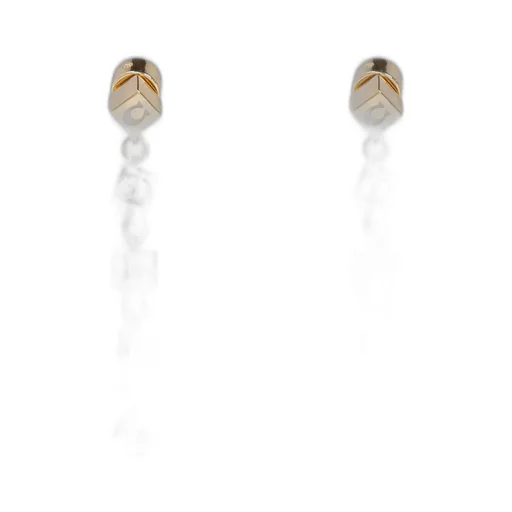 Charm Detailed Long Earrings