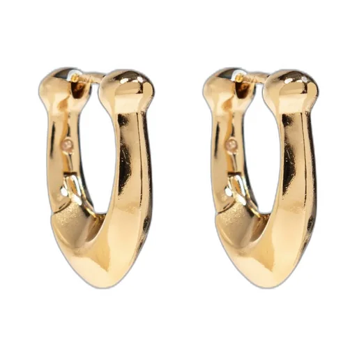 Hoop Detailed Earrings
