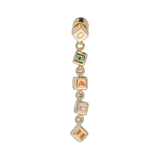 Charm Detailed Long Earrings