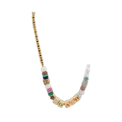 Charm Detailed Chain Necklace
