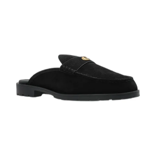 Logo Appliqué Slides