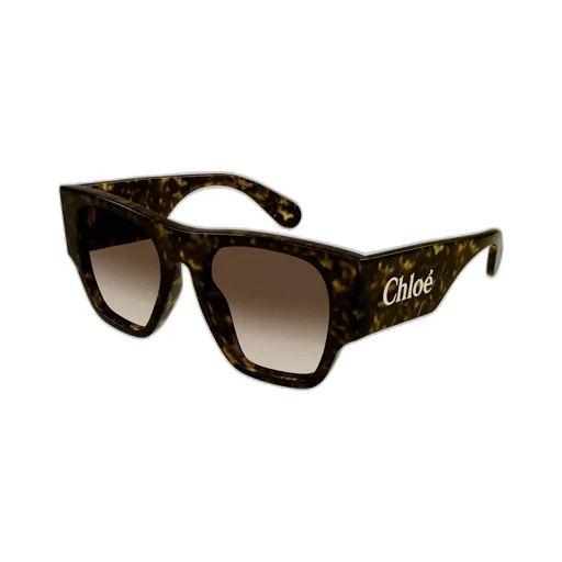 Oversized Square-Frame Sunglasses