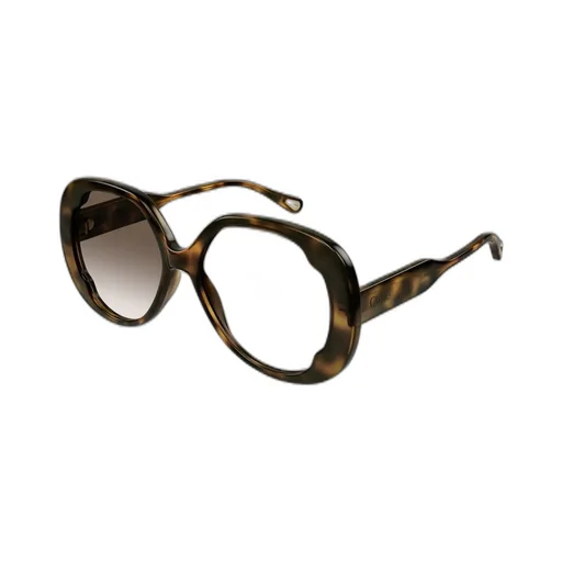 Butterfly Frame Sunglasses