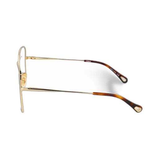 Square Frame Glasses