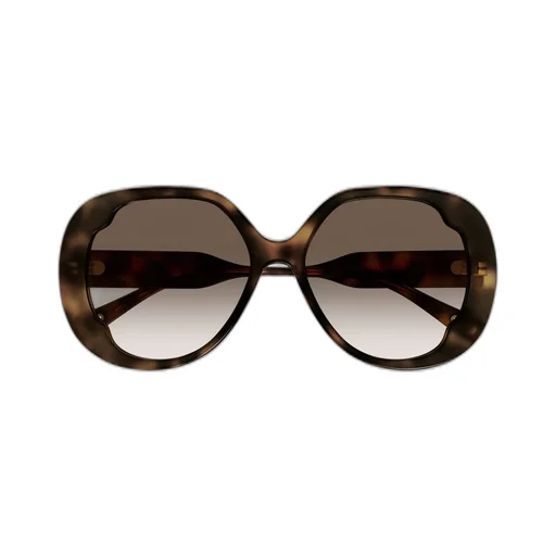 Butterfly Frame Sunglasses