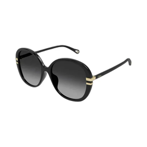 Butterfly Frame Sunglasses