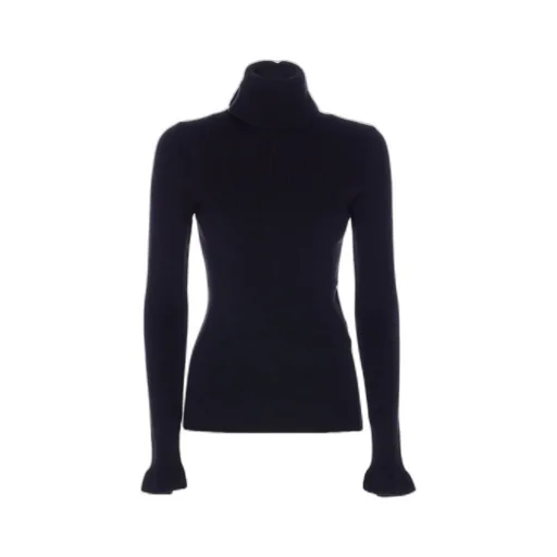 Fitted Turtleneck Sweater