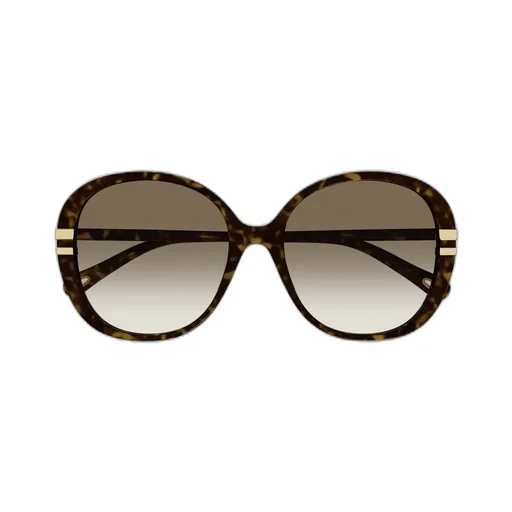 Butterfly Frame Sunglasses