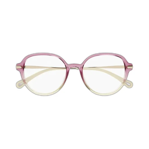 Panthos Frame Glasses